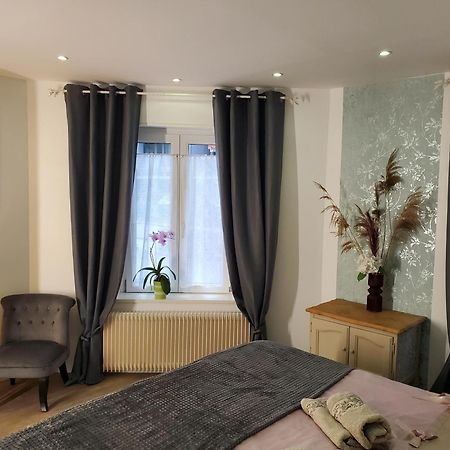 Mirka & Franck Apartment Chic 4 Stars Parking Free Колмар Екстериор снимка