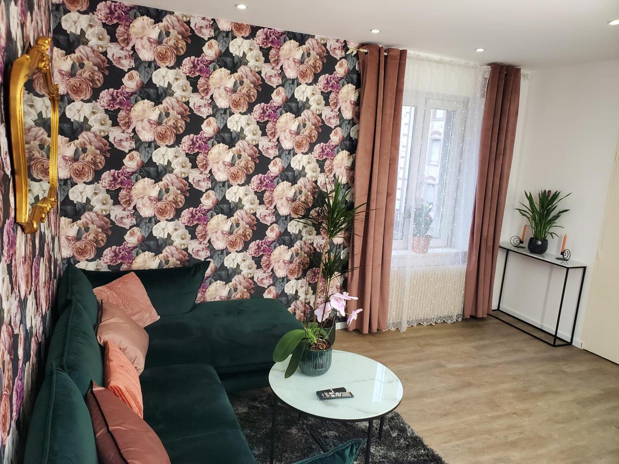 Mirka & Franck Apartment Chic 4 Stars Parking Free Колмар Екстериор снимка