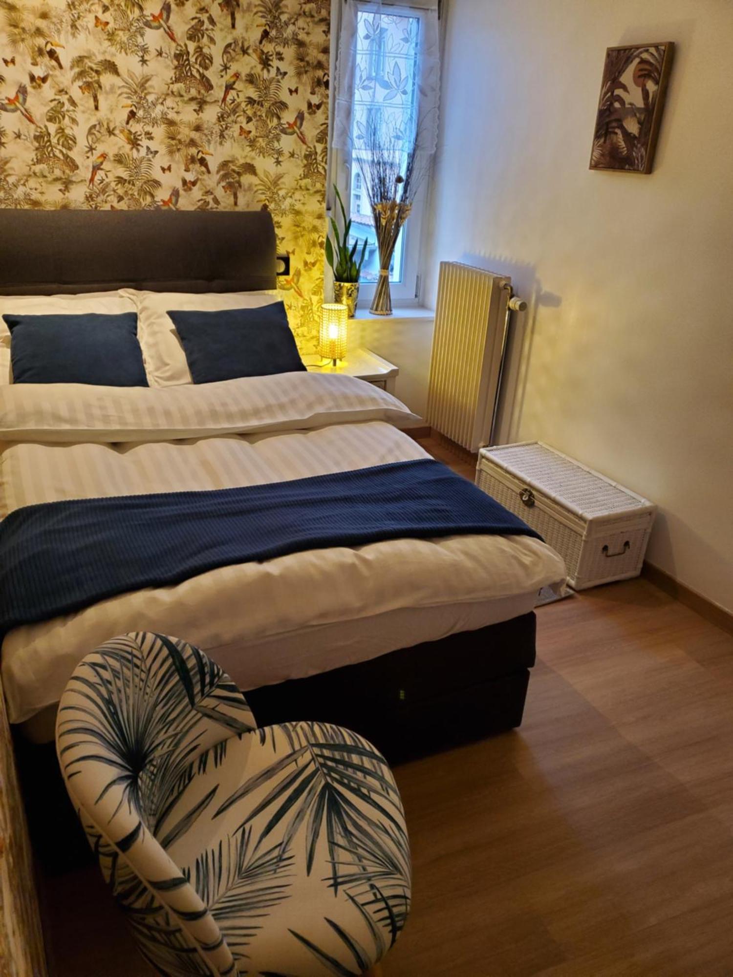 Mirka & Franck Apartment Chic 4 Stars Parking Free Колмар Екстериор снимка