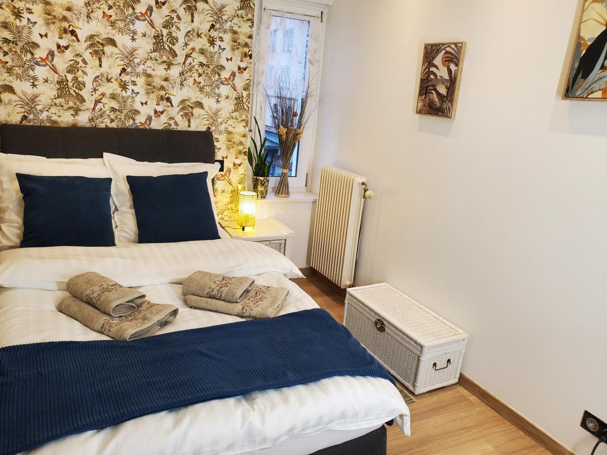 Mirka & Franck Apartment Chic 4 Stars Parking Free Колмар Екстериор снимка