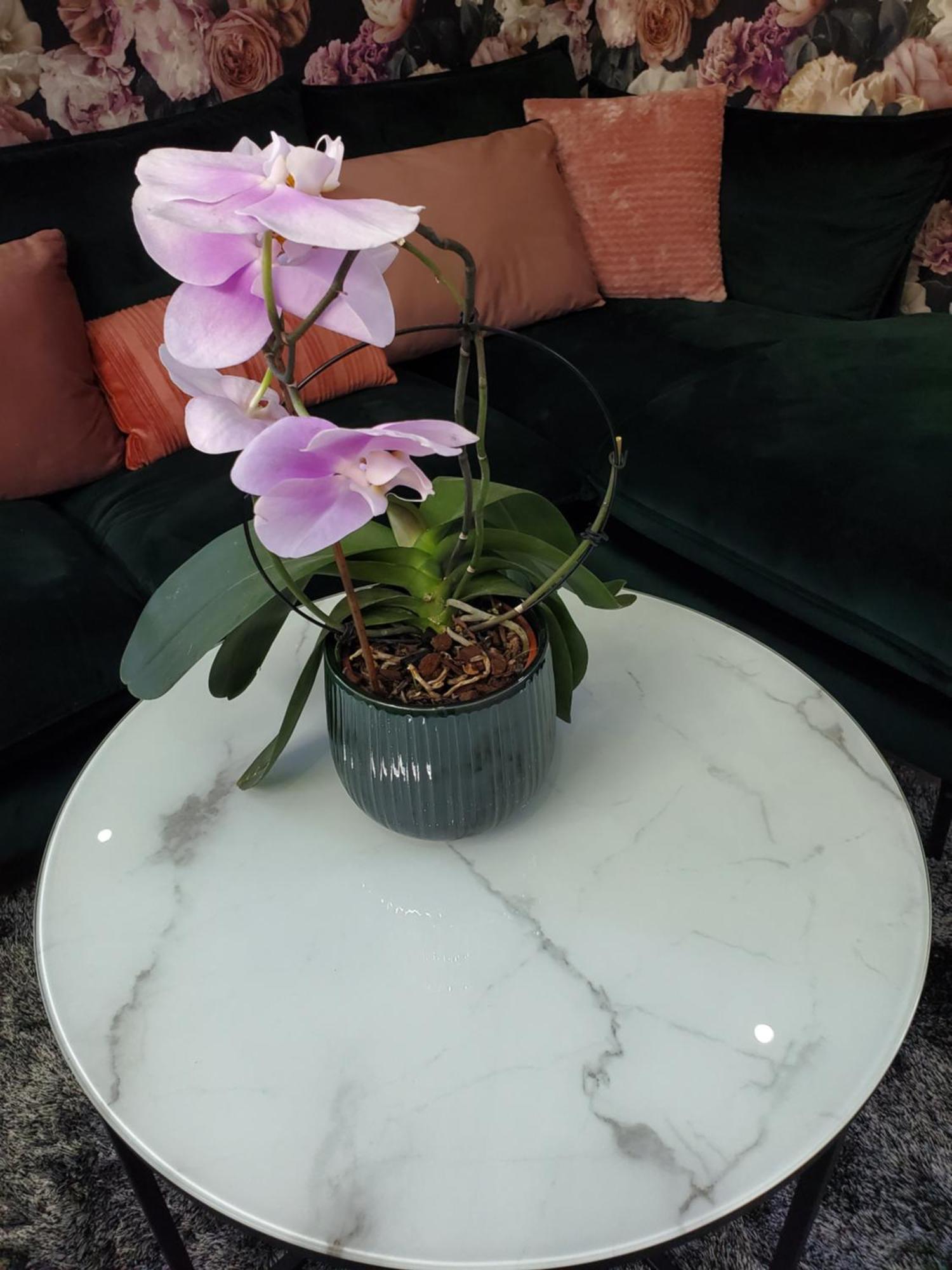 Mirka & Franck Apartment Chic 4 Stars Parking Free Колмар Екстериор снимка