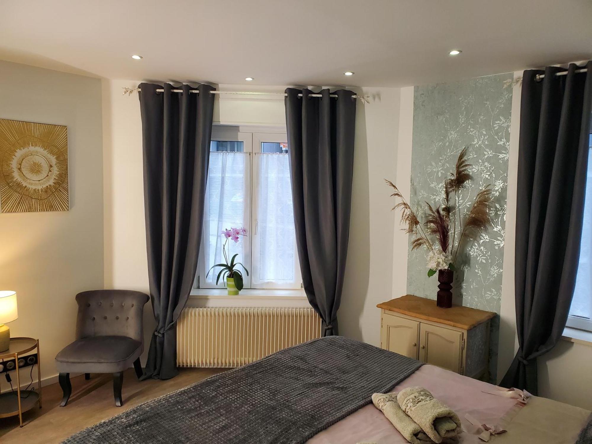 Mirka & Franck Apartment Chic 4 Stars Parking Free Колмар Екстериор снимка